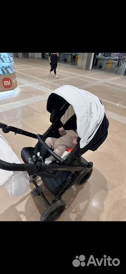 Коляска riko basic montana 3 в 1