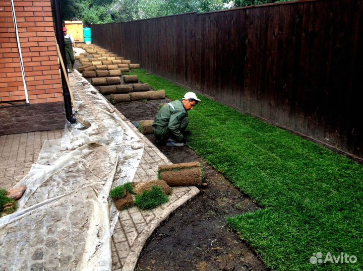 Газон от производителя в наличии