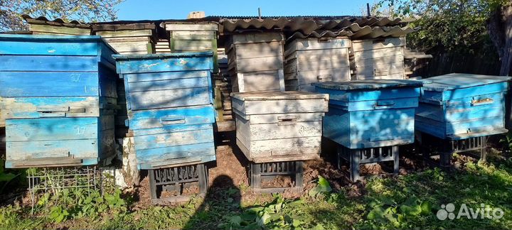 Продам 12 рамочные улья для пчел