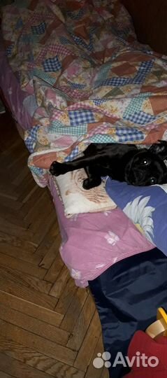 Противопролежневый матрас Bronigen BAS 4000 H