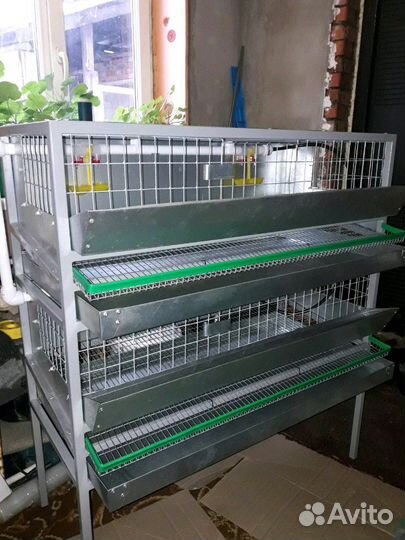 Клетка для перепелов