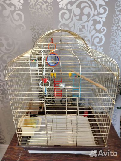 Продаются две большие клетки и белая под попугая