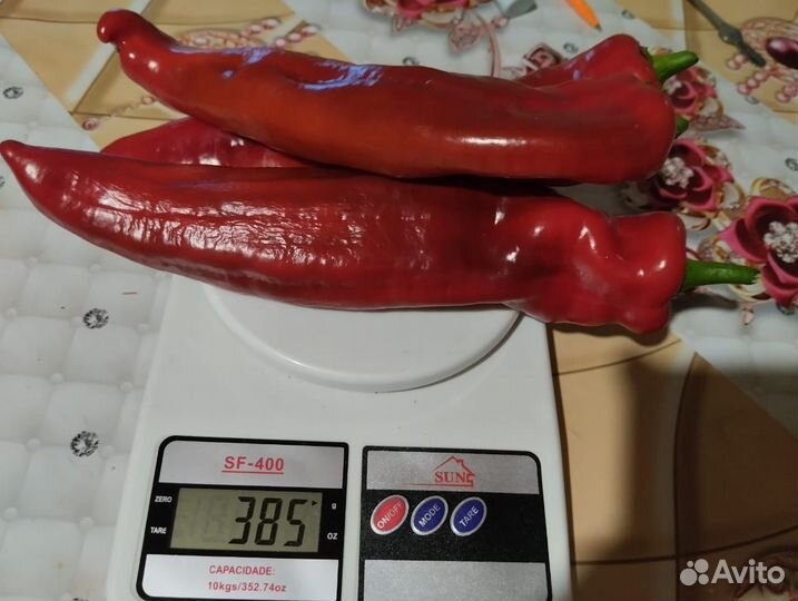 Семена сладкого перца
