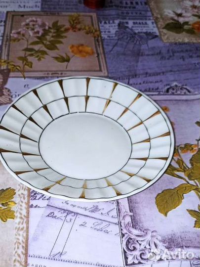 Чайник вербилки