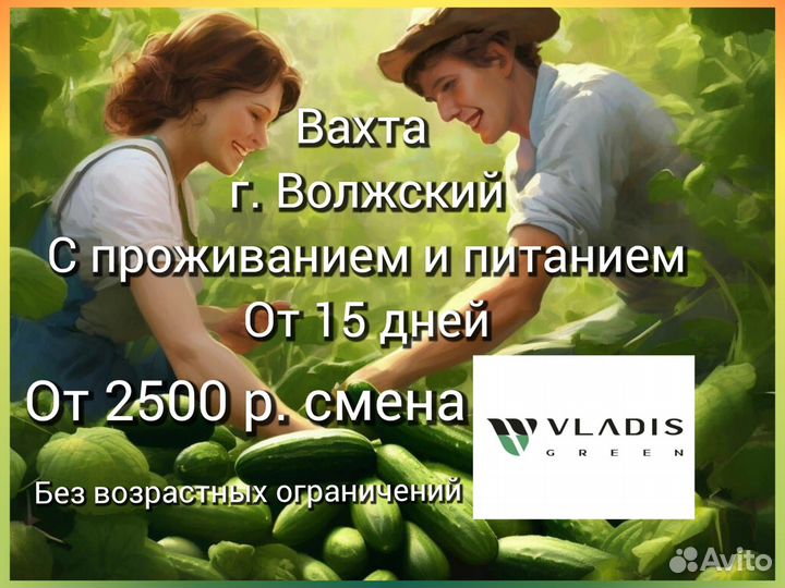 Разнорабочий вахта г.Волжский сбор огурцов