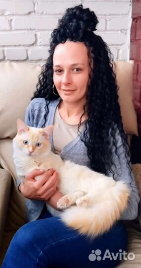 Брейды, афрокосы