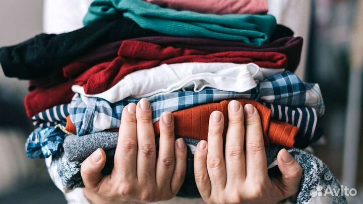 Отдам бесплатно в дар