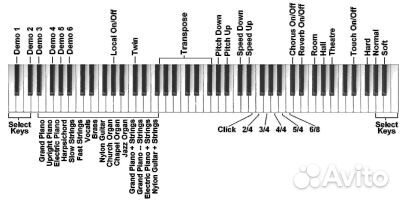 Цифровое пианино, черное, со стойкой Orla