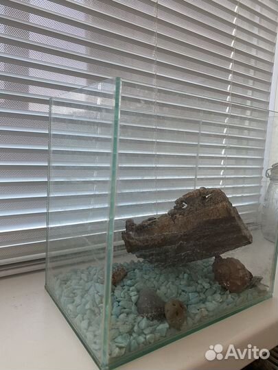 Аквариум для рыбок стеклянный