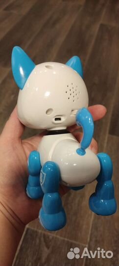 Умный щенок