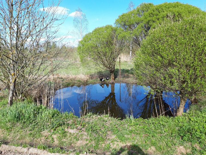 Участок 9 сот. (ИЖС)