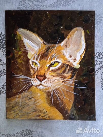 Абиссинский кот. Картина акрилом