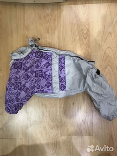 Одежда для собак