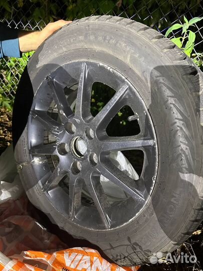 Nokian Tyres Nordman 7 205/60 R16