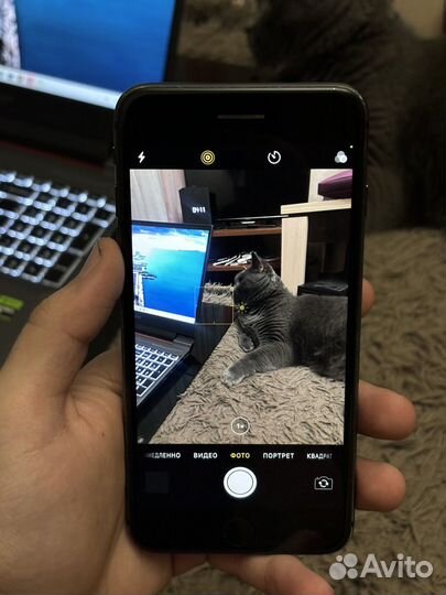 iPhone 8 Plus, 256 ГБ