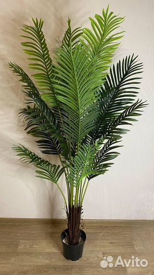Пальма.Фикус.Стрелиция. Искусственные растения