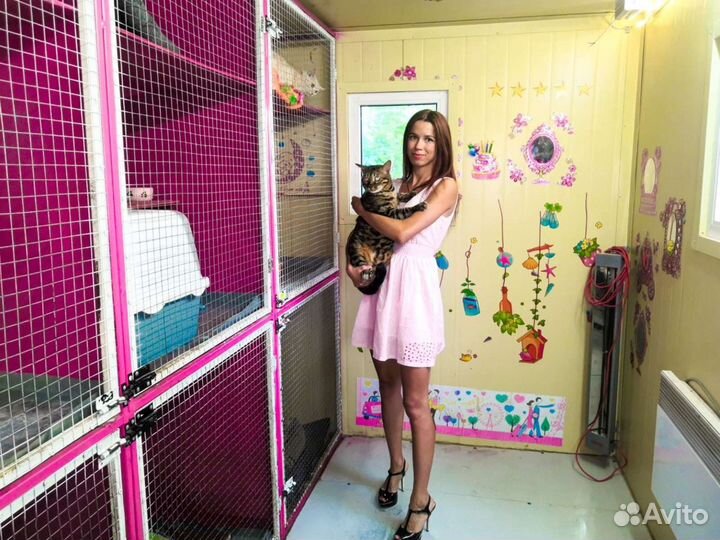 Гостиница для животных