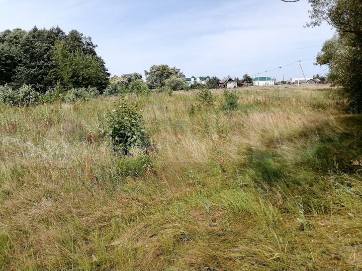 Участок 19,8 сот. (ИЖС)