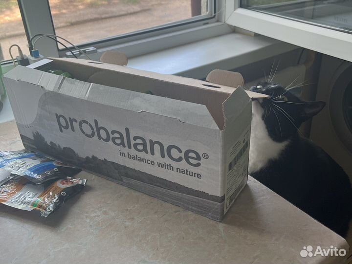 Влажный корм для кошек ProBalance