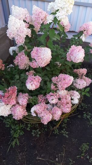 Коттедж 159,5 м² на участке 15 сот.