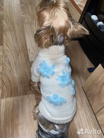 Вязаный свитер для собак