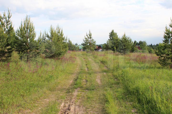 Участок 18 сот. (СНТ, ДНП)