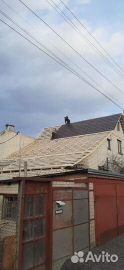 Строительство и ремонт крыши под ключ