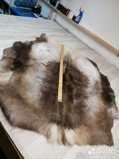 Оленья шкура