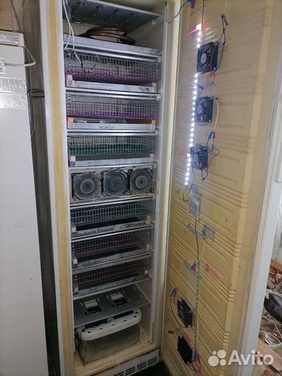 Инкубатор для яиц автоматический бу