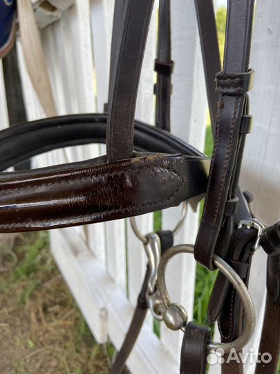 Уздечка для лошади cob