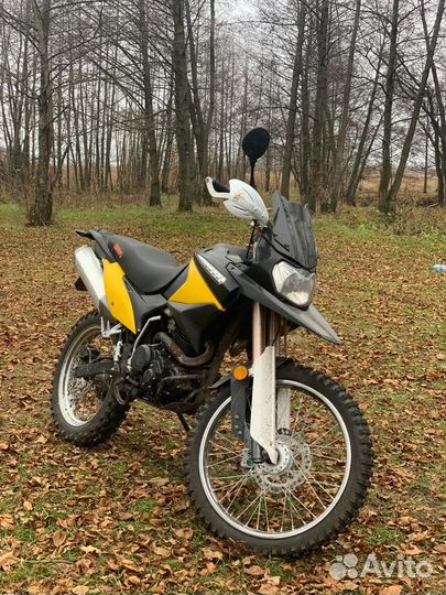 Irbis xr250r