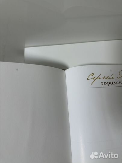 Сергей Андрияка городская архитектура