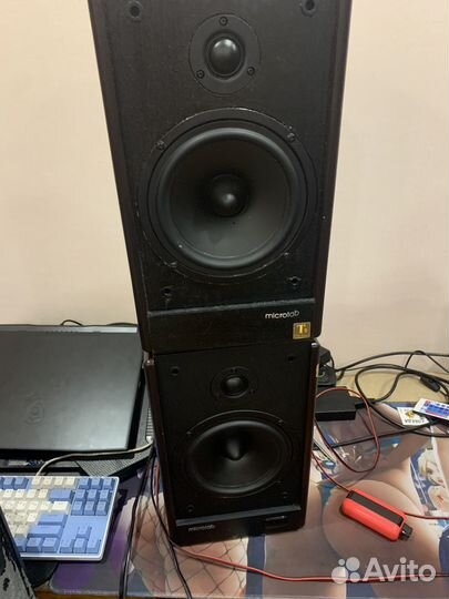 Колонки microlab