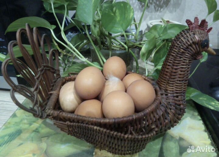 Мясо Кролика, Молоко козье, Мёд