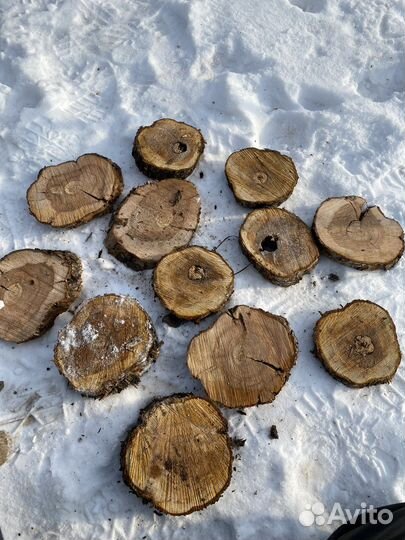 Спилы Картина на дереве