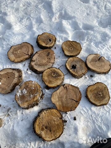 Спилы Картина на дереве