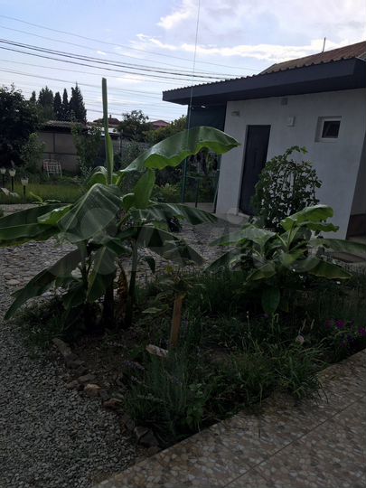 Коттедж 19 м² на участке 8 сот.