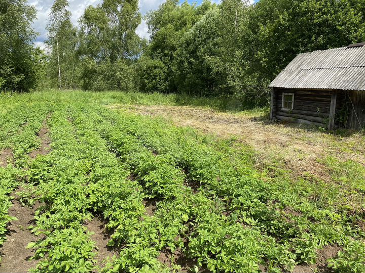 Дом 64 м² на участке 49 сот.