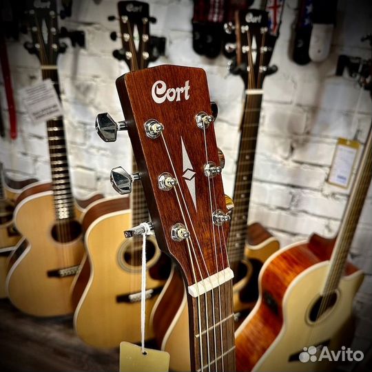 Акустическая гитара Cort earth60-OP