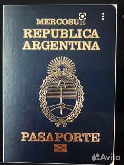 ВНЖ паспорт чили Аргентина испания без посредников