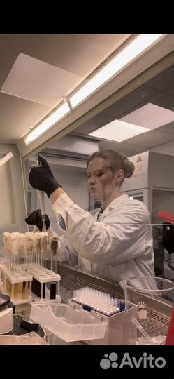 Репетитор по биологии егэ онлайн