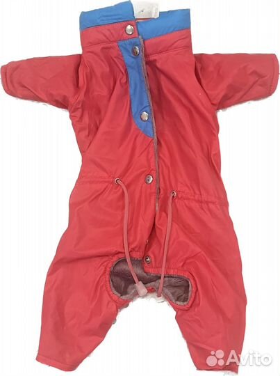 Одежда для собак