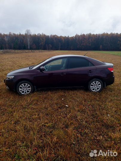 Kia Cerato 1.6 МТ, 2010, 249 000 км