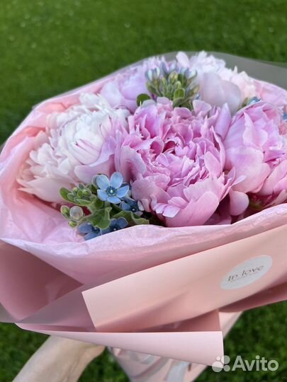 Пионы и незабудки Букеты Цветы Доставка