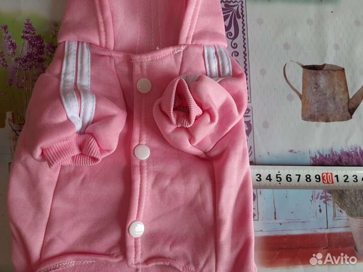 Одежда для животных