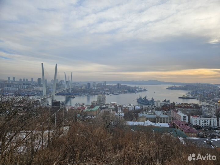 Услуги минивена с водителем, трансфер