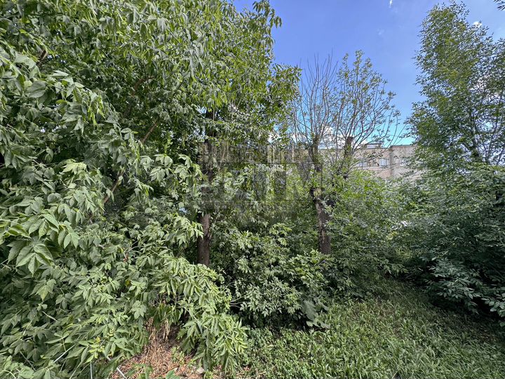 Комната 13 м² в 8-к., 1/3 эт.