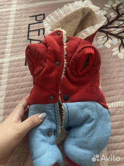 Одежда и обувь для собак