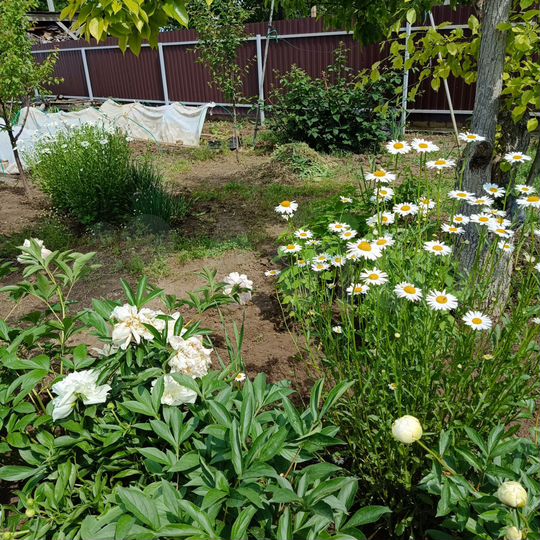 Дача 21 м² на участке 6,8 сот.