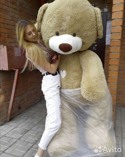 Плюшевый медведь